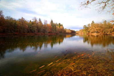 Scenic view of lake against sky during autumn