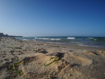 Scenic view of beach against clear blue sky