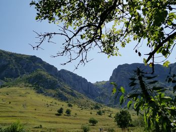 Scenic view of mountains against clear sky