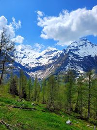 mountain