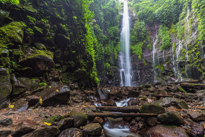 View of waterfall in forest