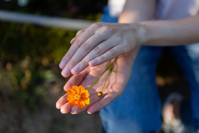 An orange flower in a woman hands on a dark background