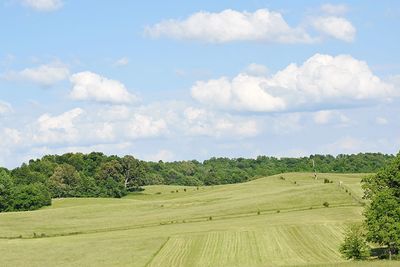 Scenic view of agricultural field against sky