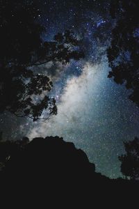 Low angle view of silhouette trees against sky at night