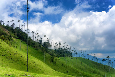 Scenic view of mountains