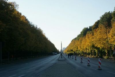 Road along trees