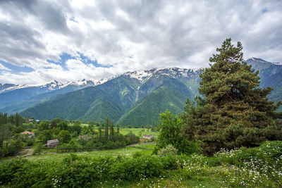 Scenic view of trees and mountains against sky