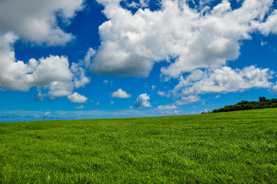 Scenic view of field against sky