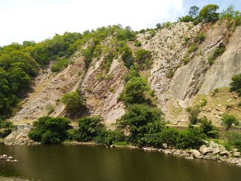 Scenic view of river amidst trees against sky