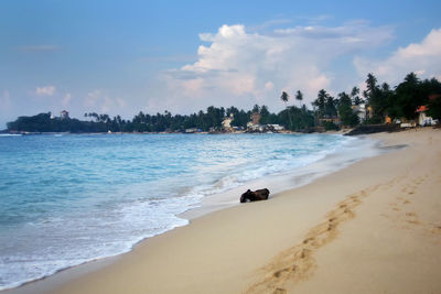 Scenic view of beach against sky