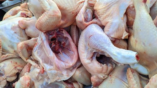 Close-up of chickens meat for sale at market