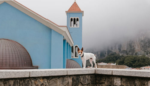 View of church