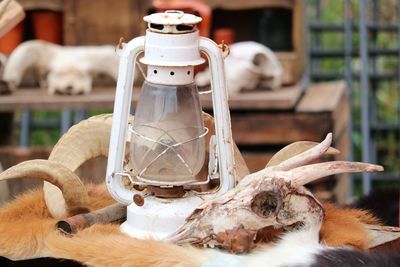 Close-up of cow skull and oil lamp