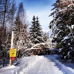 Road passing through snow covered landscape