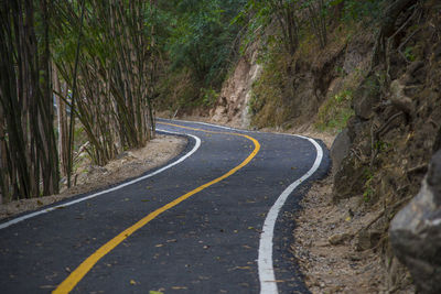 Road passing through forest