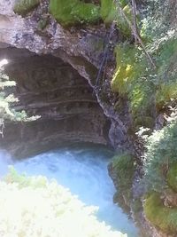 Scenic view of river flowing through forest