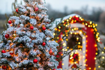 Close-up of illuminated christmas tree