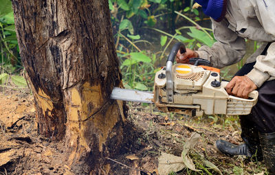 Low section of lumber jack cutting tree