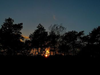 Silhouette trees against sky at night