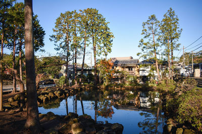 Trees and buildings by lake against clear blue sky