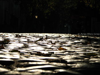 Close-up of water