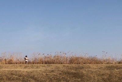 Woman by plants on grass against clear sky