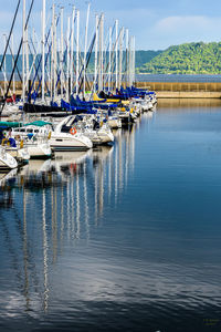 Sailboats moored in marina