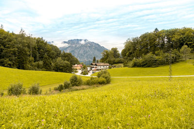 Scenic view of field against sky