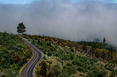 Scenic view of road amidst trees against sky