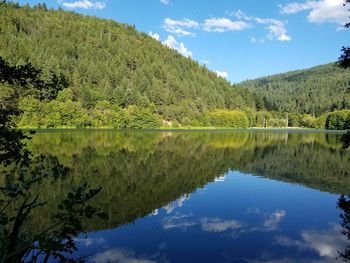 Reflection of trees in calm lake