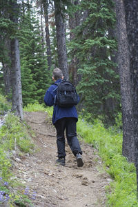 Rear view of man walking on footpath in forest