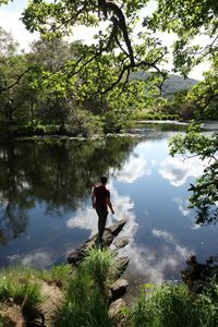 Rear view of person photographing lake against trees