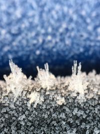 Close-up of snowflakes on grass against sky