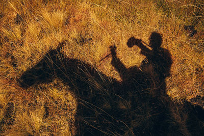 Shadow of people on field