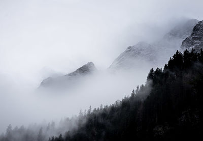 fog