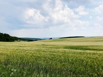 Scenic view of field against sky