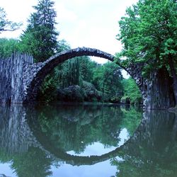 Reflection of trees in lake