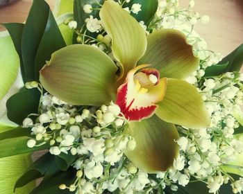 Close-up of flowers blooming outdoors