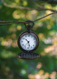 Close-up of clock hanging on tree