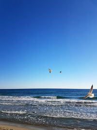 Scenic view of sea against clear blue sky