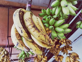 High angle view of fruits on table