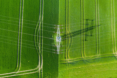 Popelines seen directly from above