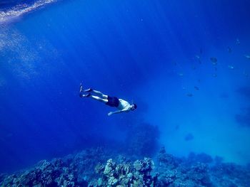 High angle view of man swimming in sea