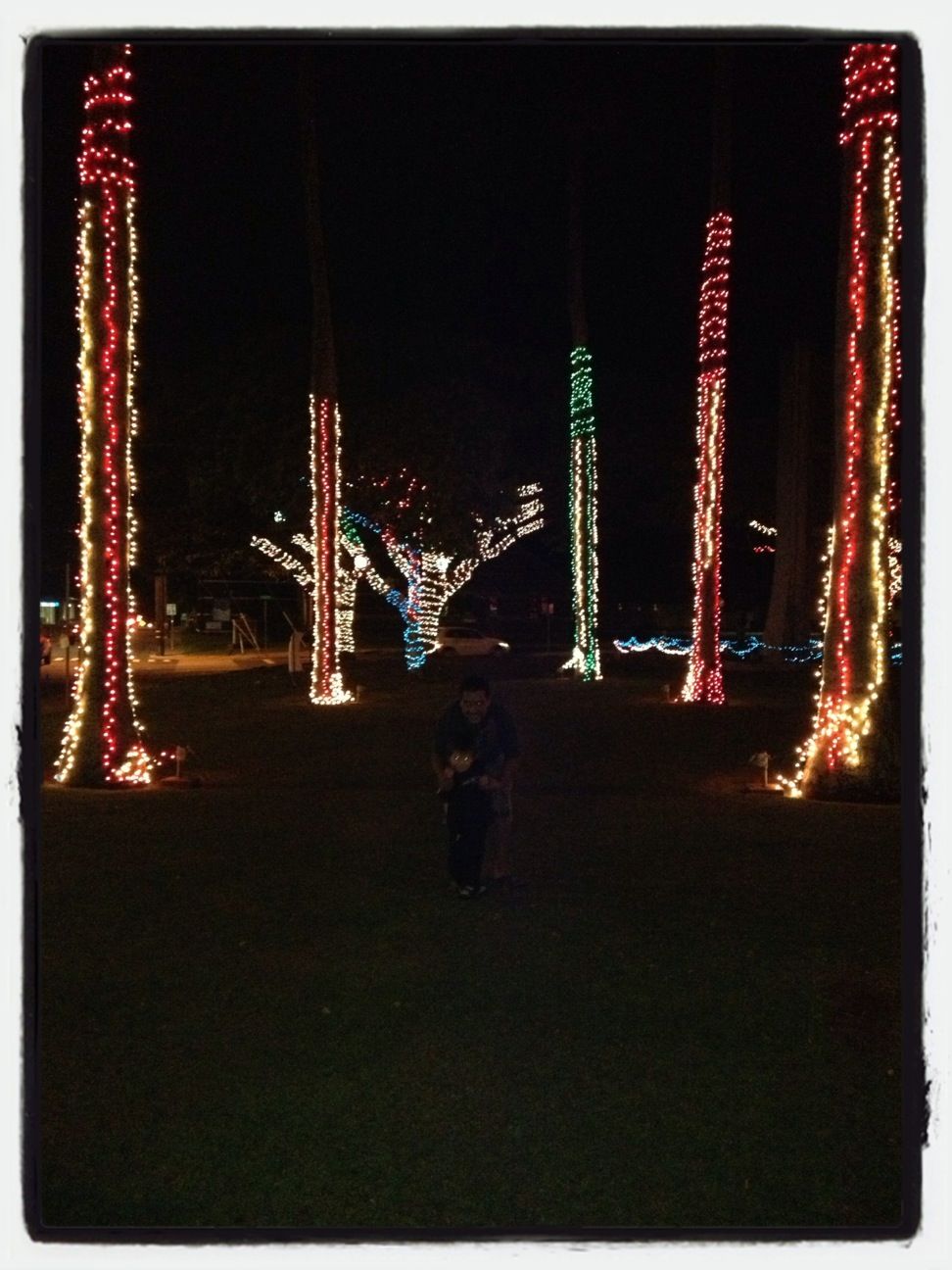 Lihue christmas tree lights