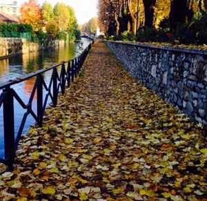 Autumn leaves on footbridge over canal