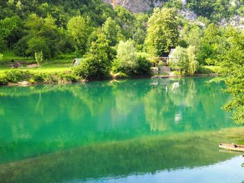 Scenic view of lake by trees