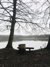 Empty bench by lake against bare trees