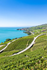 Scenic view of sea against clear blue sky