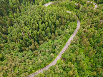 High angle view of road amidst trees