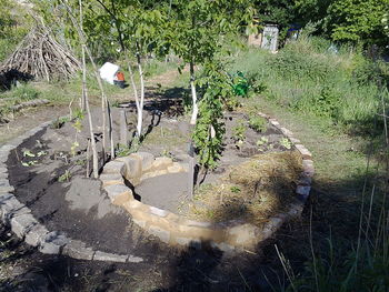 High angle view of water flowing in forest